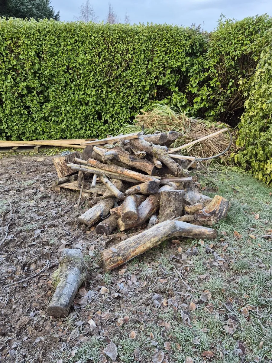 Fire wood (FREE) - Image 1