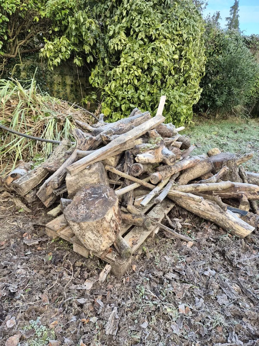 Fire wood (FREE) - Image 2