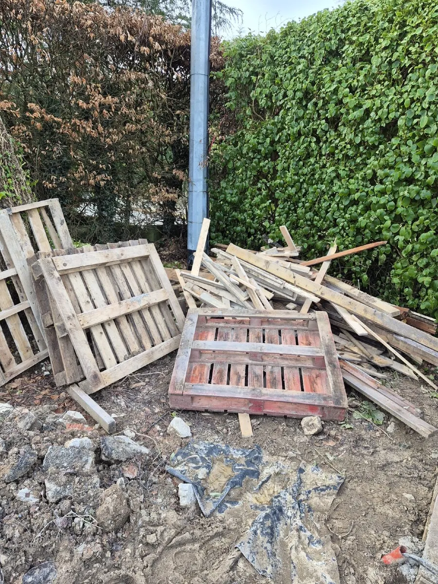 Fire wood (FREE) - Image 3