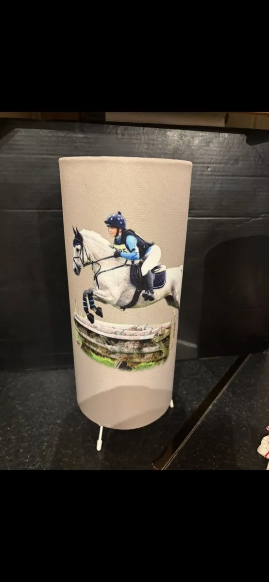 Hand made lamps , handbags & etched glasses - Image 4