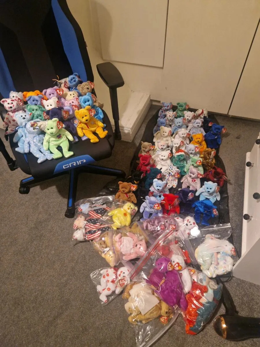 Ty Beanie Baby Bears all MWMT