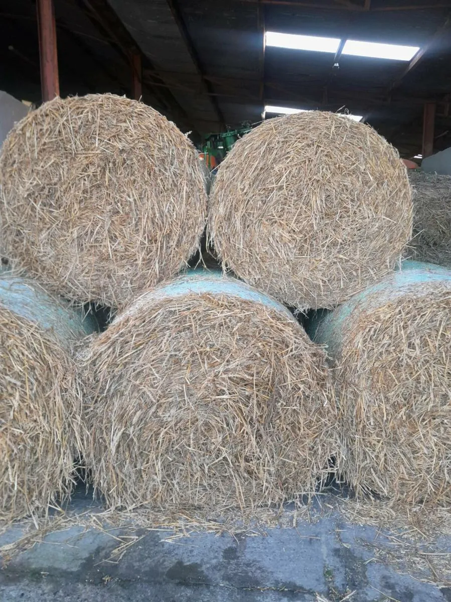 Wheaten straw