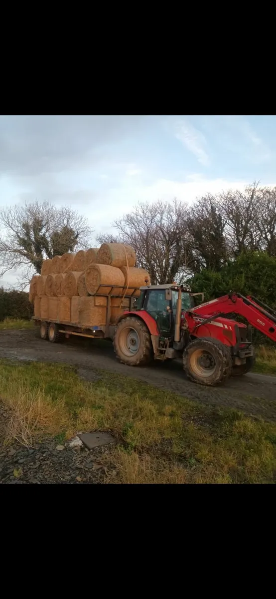 Hay & Silage - Image 1