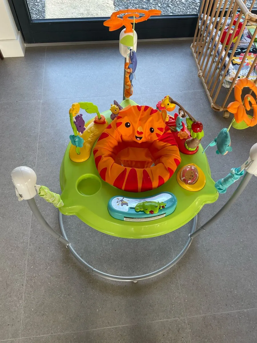 Rainforest Jumperoo - Image 1