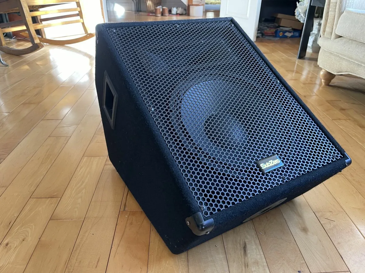 Sub Zero 12" stage monitor speaker and cabinet - Image 1