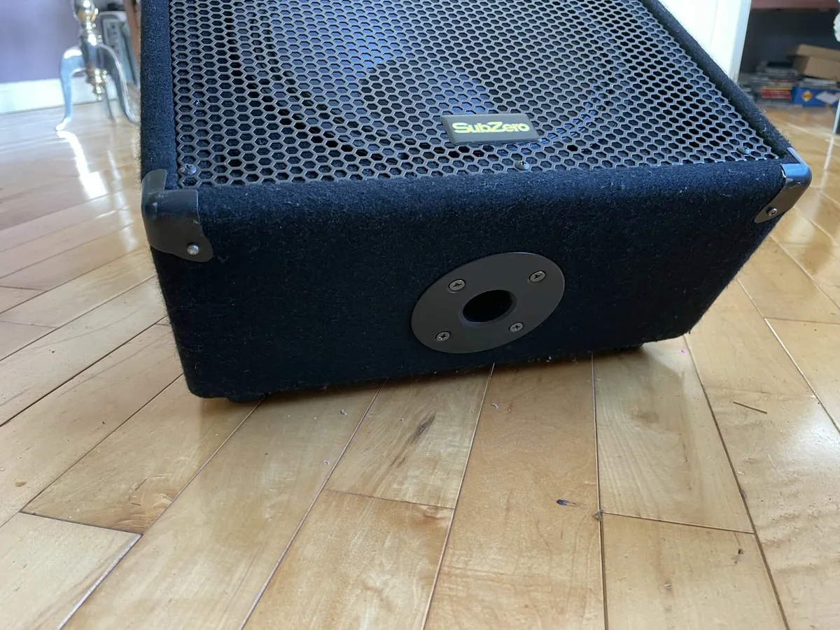 Sub Zero 12" stage monitor speaker and cabinet - Image 2