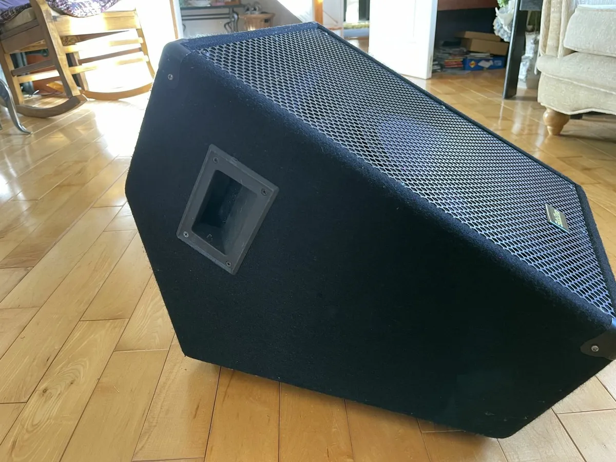 Sub Zero 12" stage monitor speaker and cabinet - Image 3