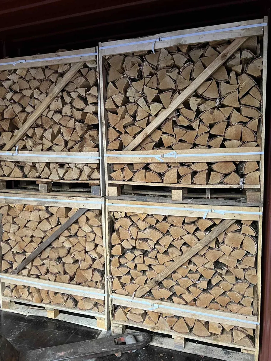 Kiln‑dried logs - Birch wood / Ready to Burn - Image 4