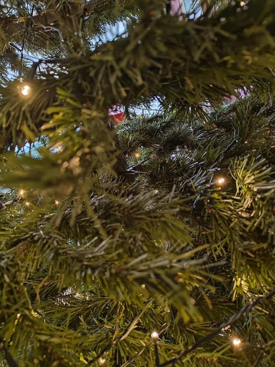 Christmas Tree - Image 3