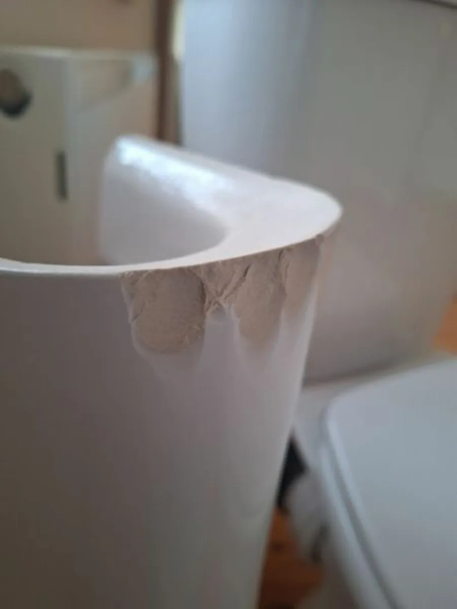 Sink & toilet FREE - Image 3