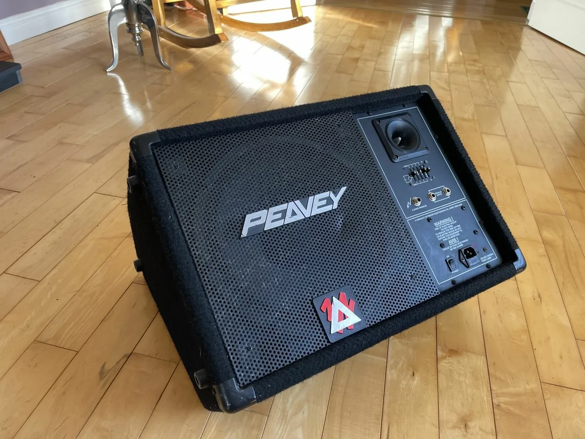 Peavey Eurosys 12PM, Active Wedge Monitor - Image 1