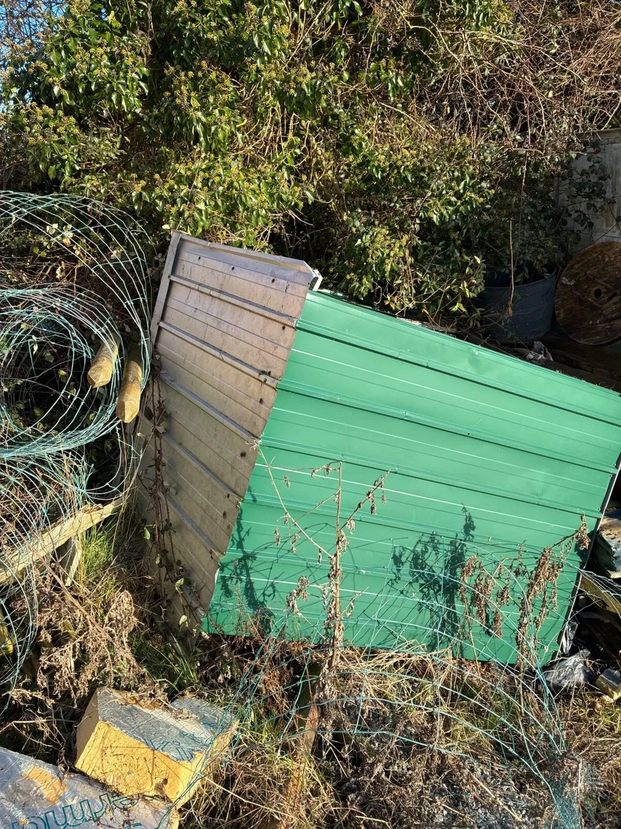 Trampoline ,bike , garden shed & 5 outdoor lights - Image 4