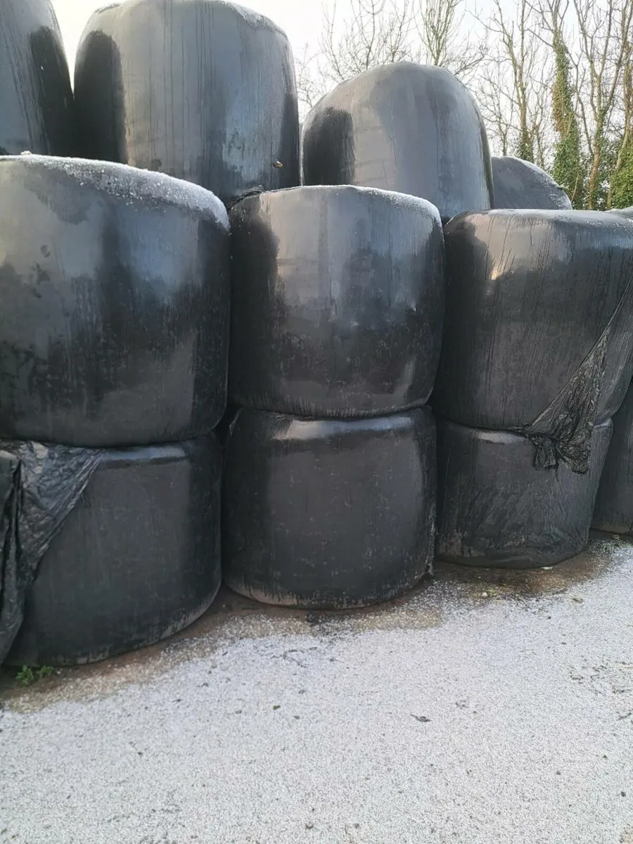Silage bales - Image 2