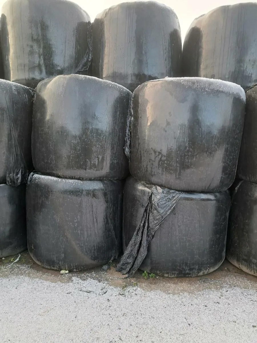Silage bales - Image 3