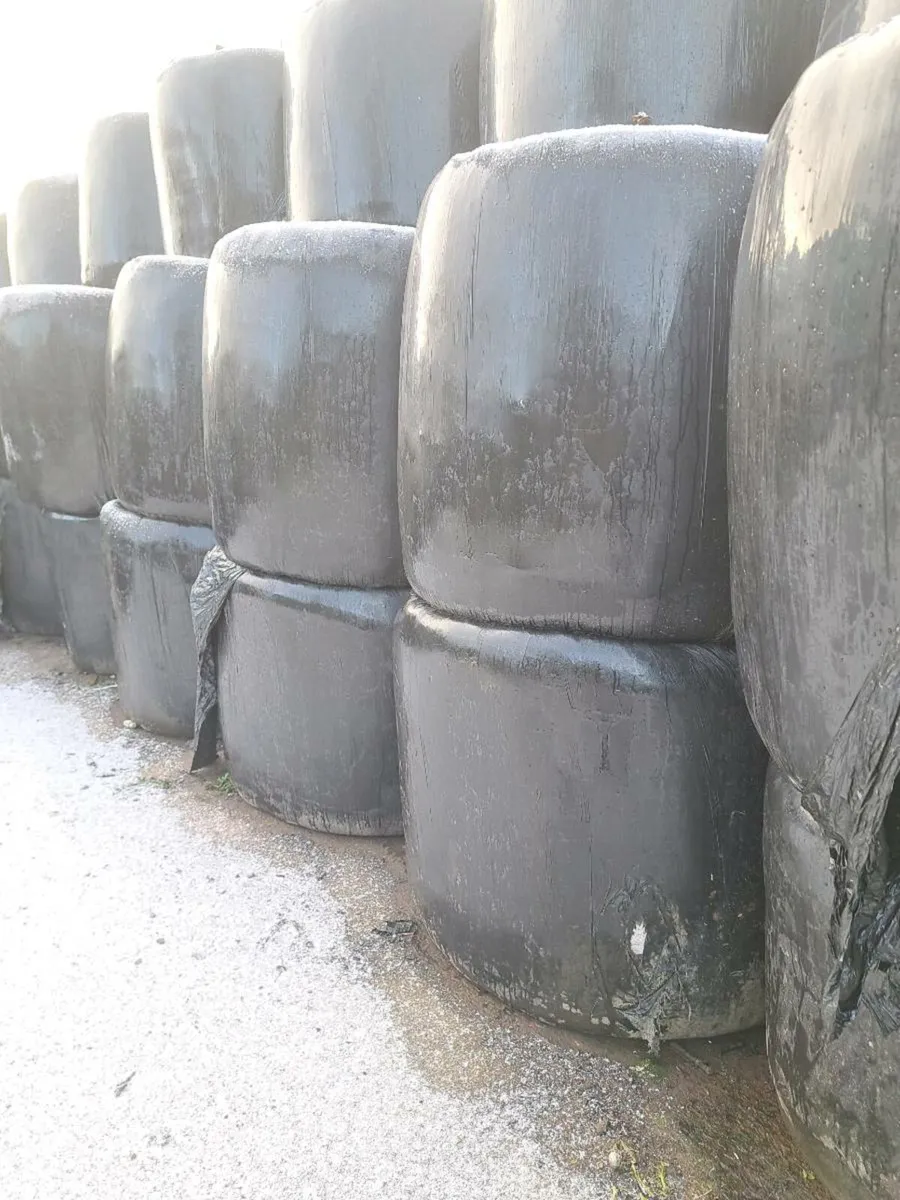 Silage bales - Image 1