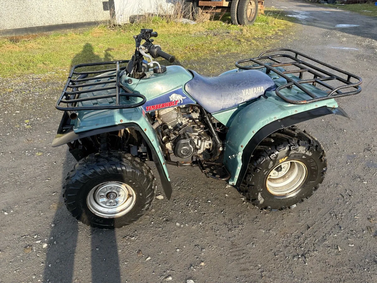 Yamaha Timberwolf 250 - Image 1