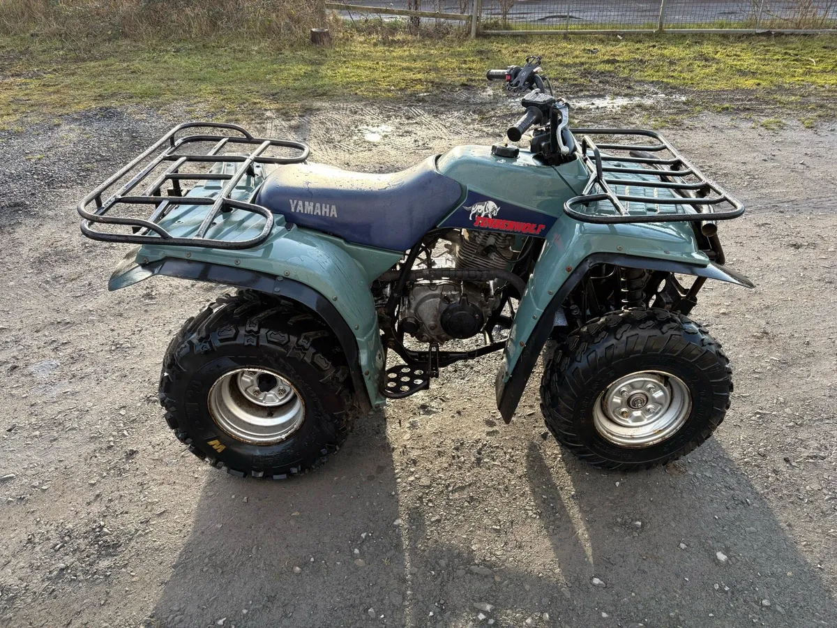 Yamaha Timberwolf 250 - Image 2