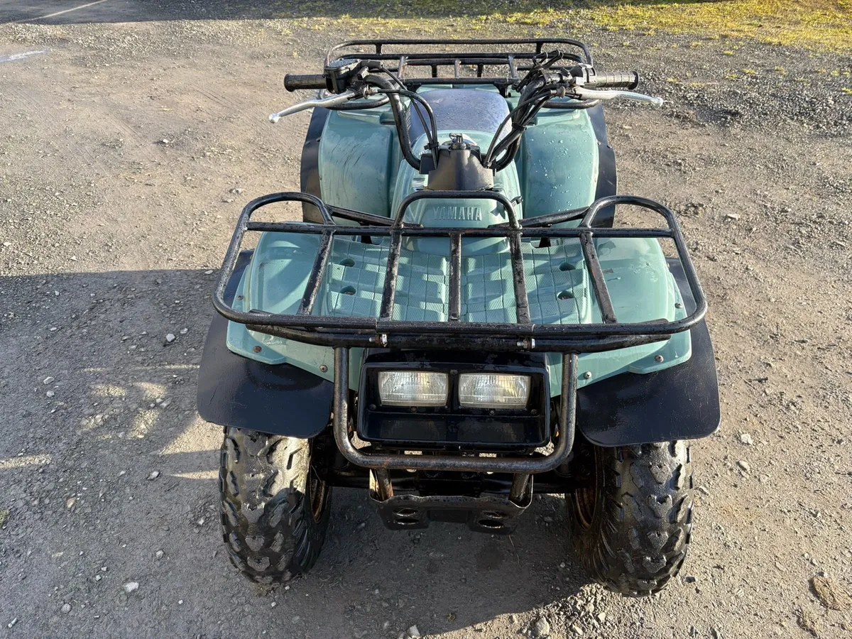 Yamaha Timberwolf 250 - Image 3