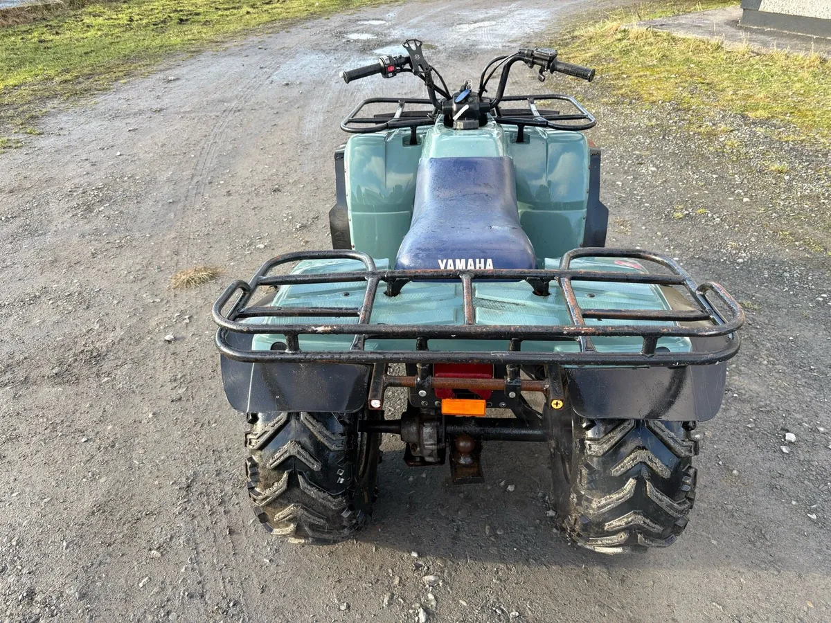 Yamaha Timberwolf 250 - Image 4