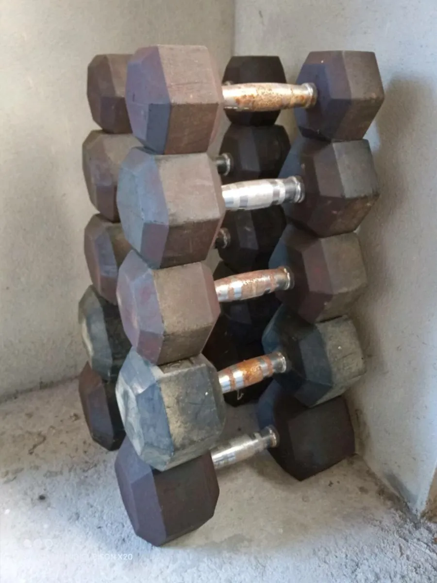 Dumbbells/barbell set/bemch - Image 2