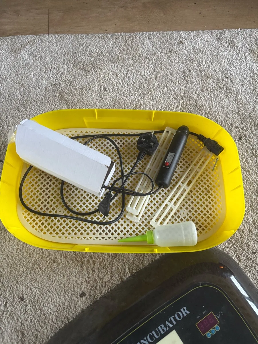 Egg incubator - Image 1