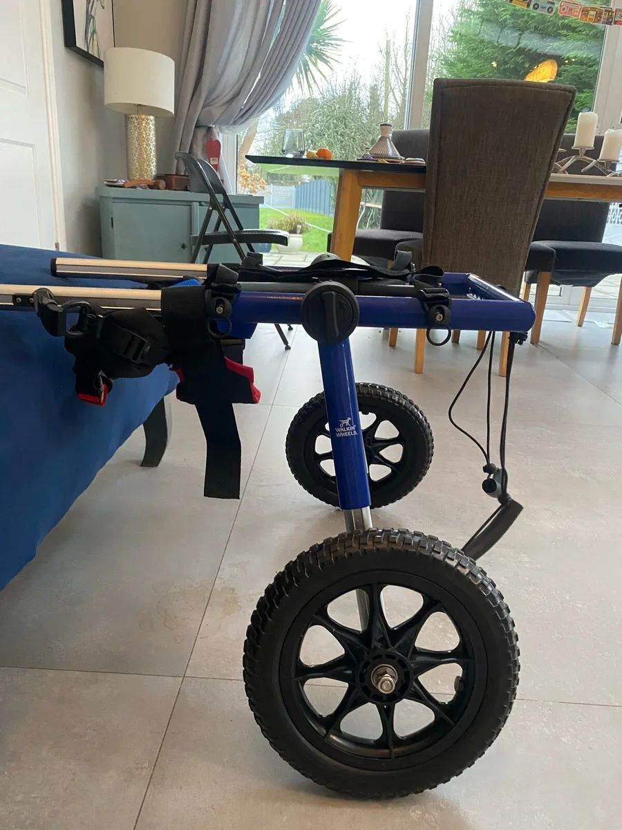 Zoomadog Large Dog Wheelchair (31-81kg, 20-25”) - Image 1