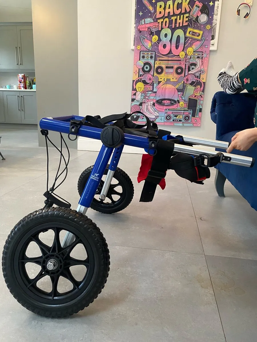 Zoomadog Large Dog Wheelchair (31-81kg, 20-25”) - Image 3