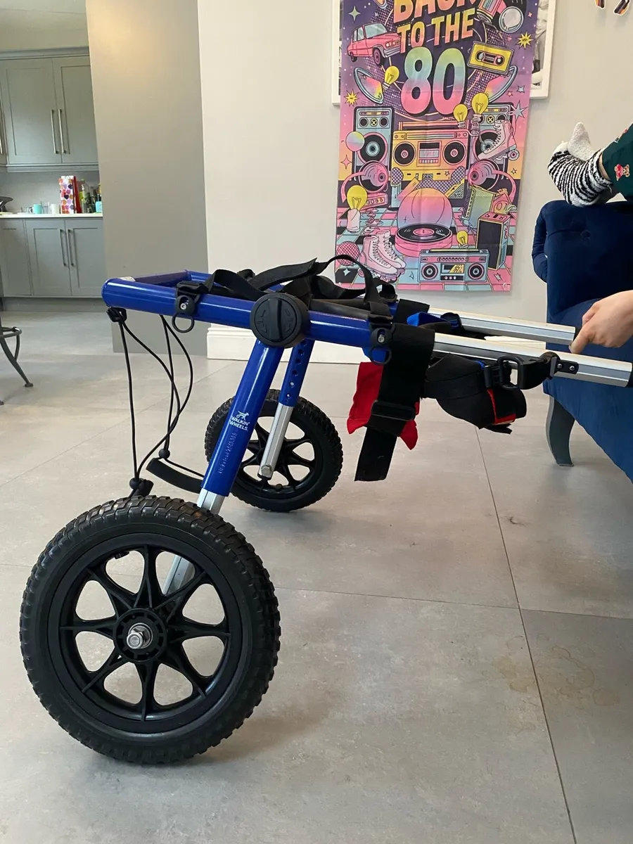 Zoomadog Large Dog Wheelchair (31-81kg, 20-25”) - Image 4