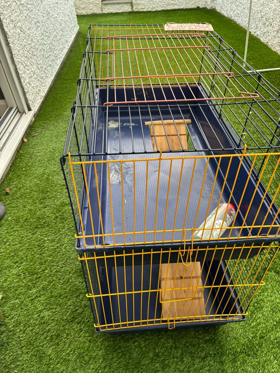 Guinea Pig/Rabbit Cage - Image 1