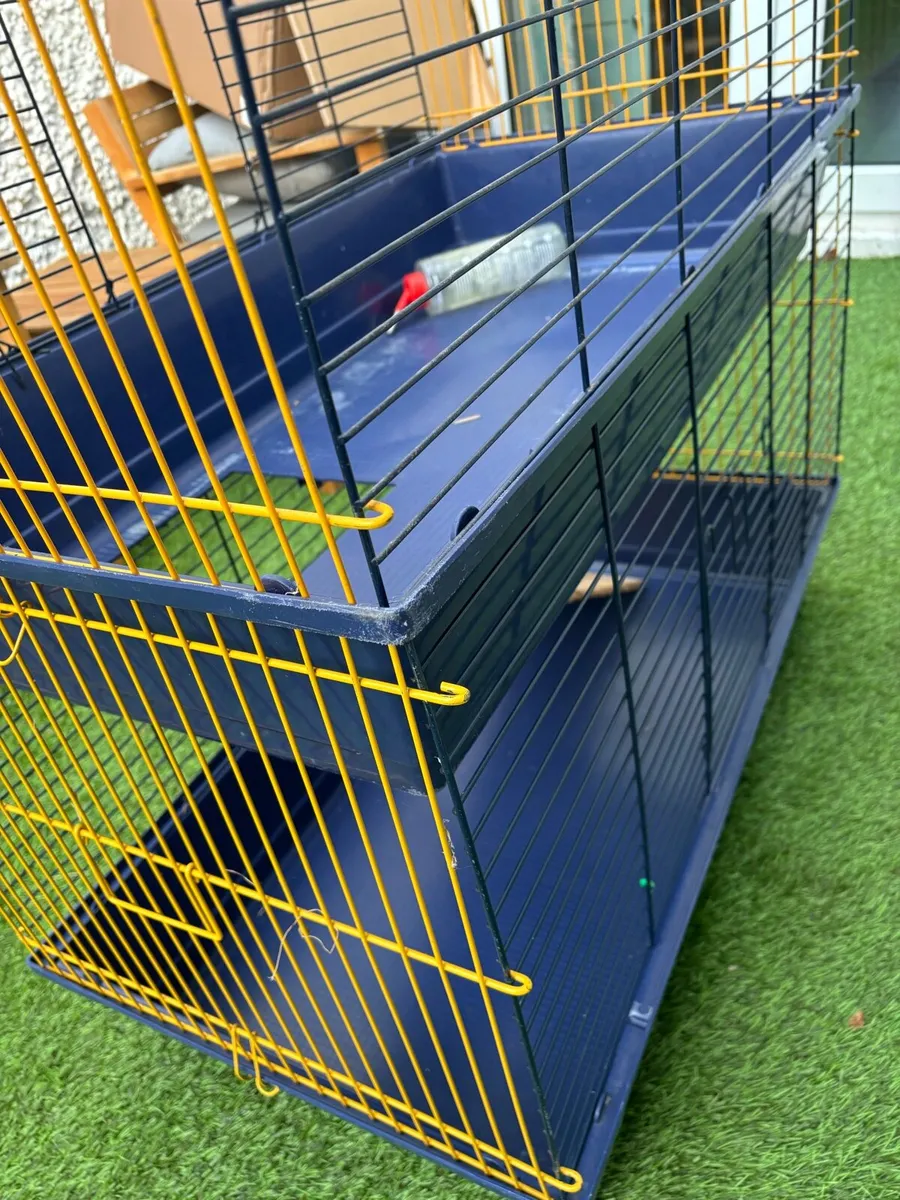 Guinea Pig/Rabbit Cage - Image 3