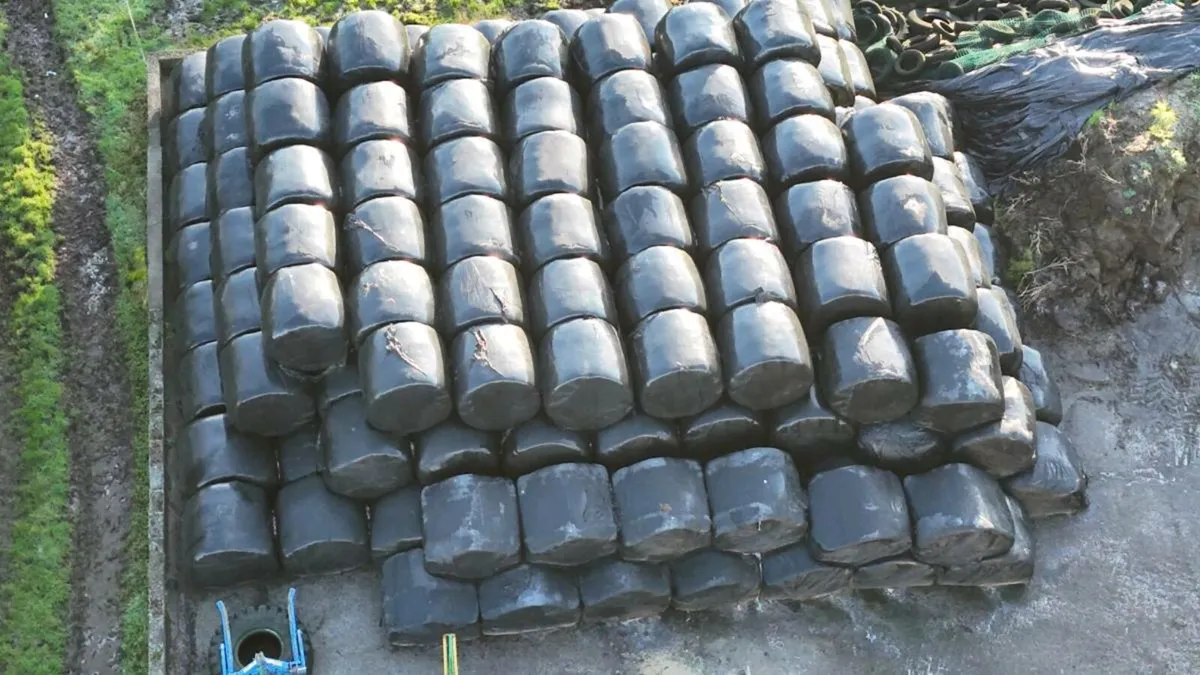 Silage bales - Image 2