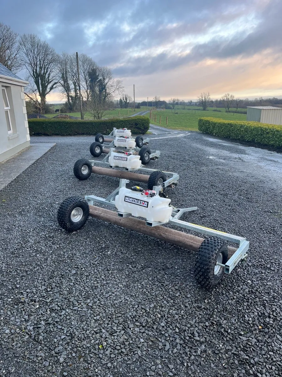 Sherman lickers - Image 1