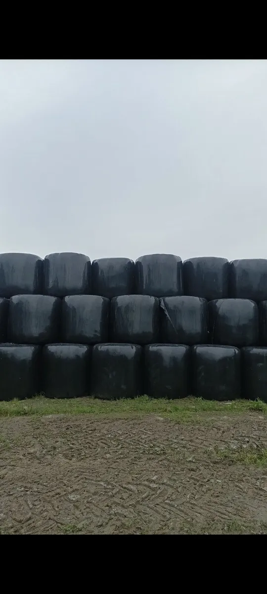 Silage/Haylage - Image 1