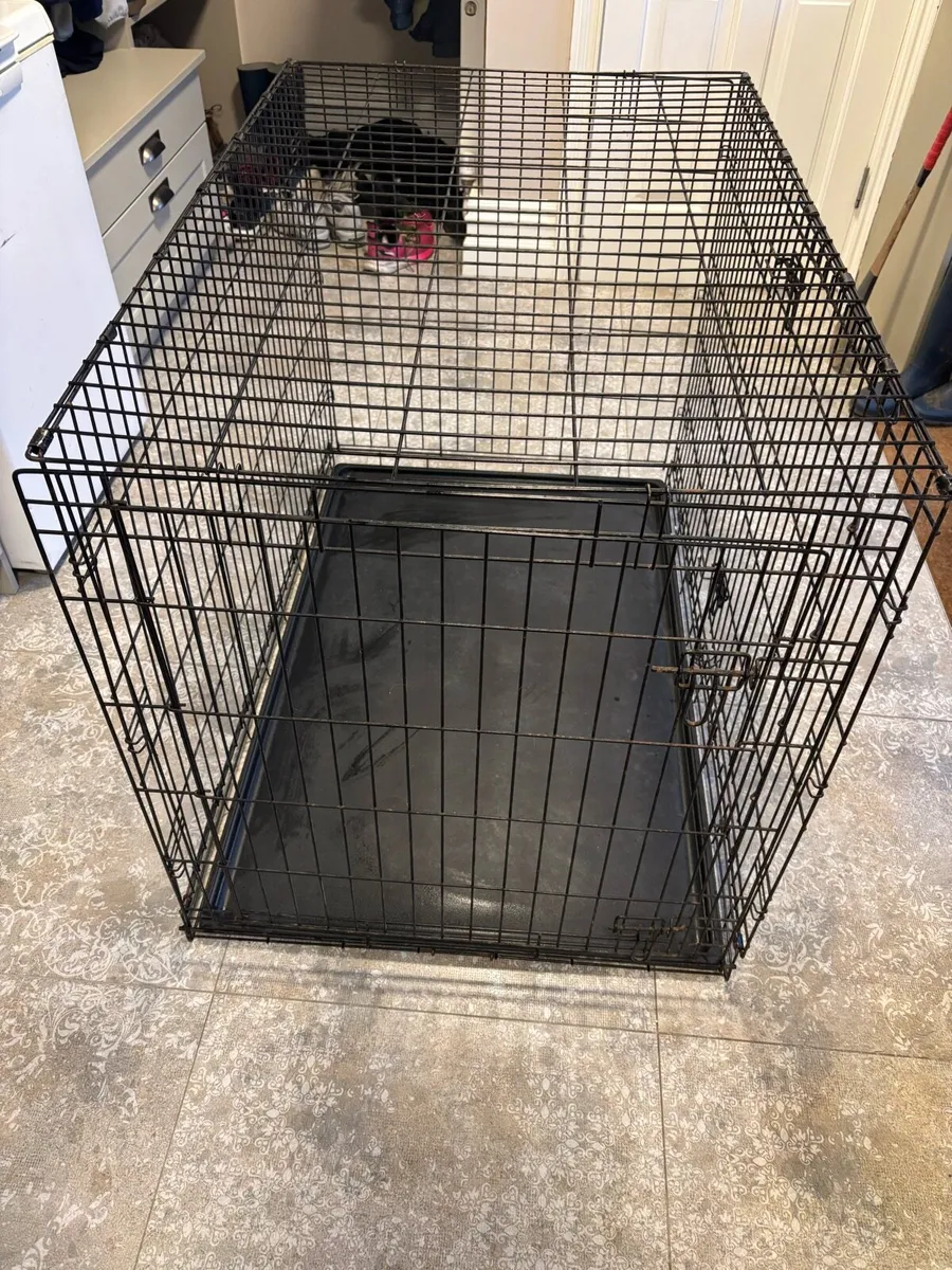 Dog Crate
