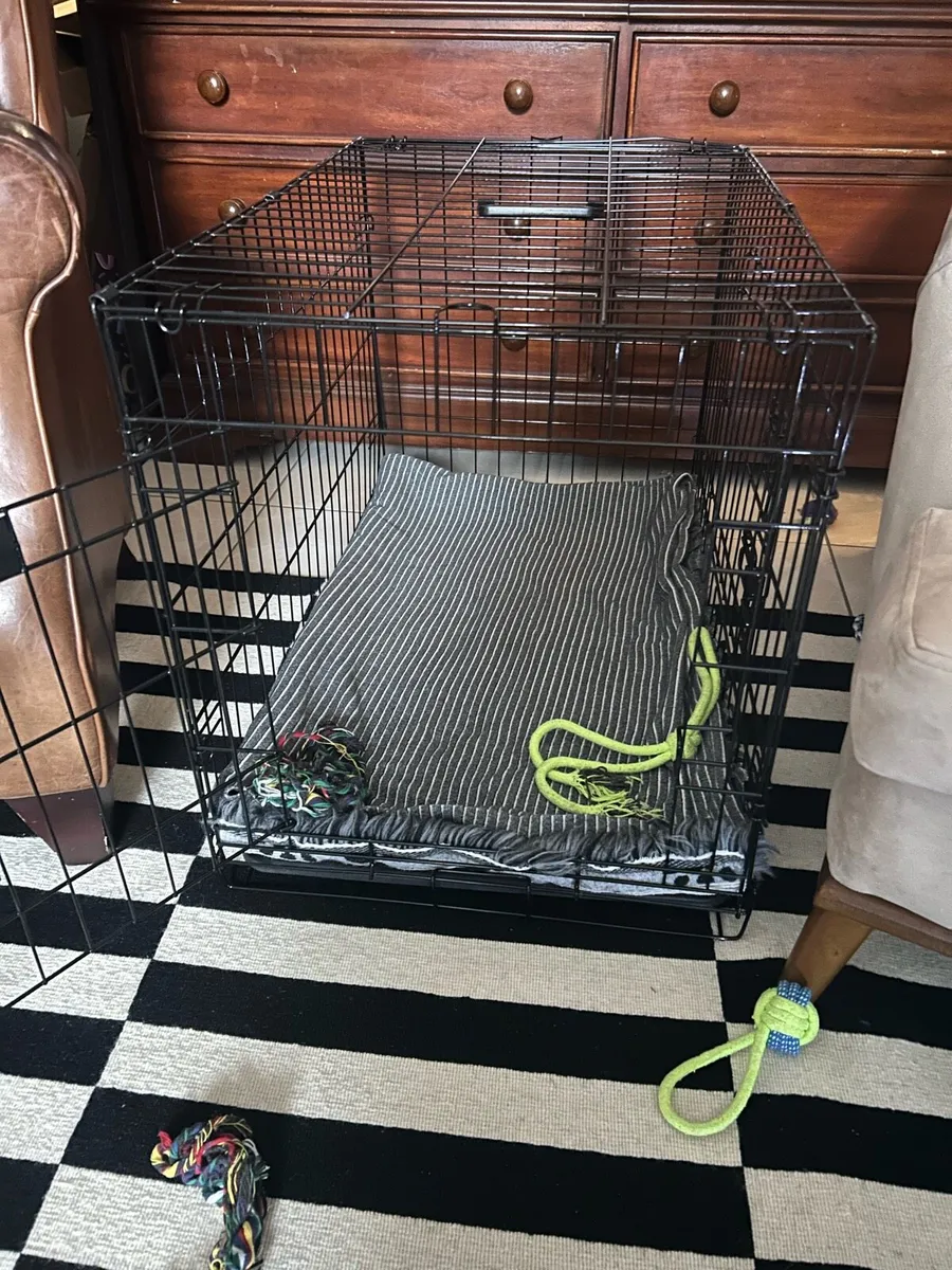 Dog crate - Image 1