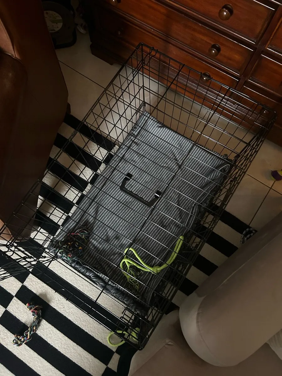 Dog crate - Image 2