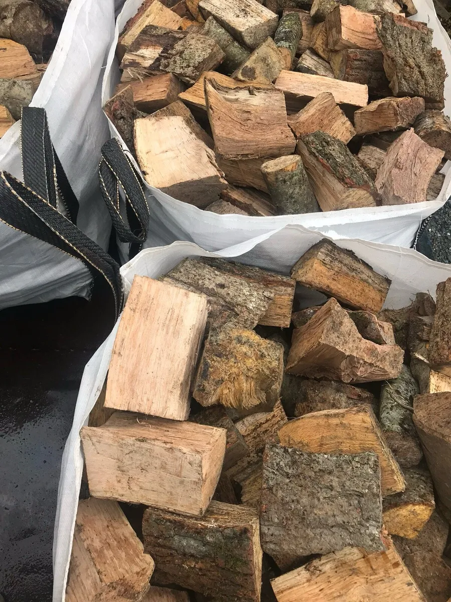 Firewood - Image 4
