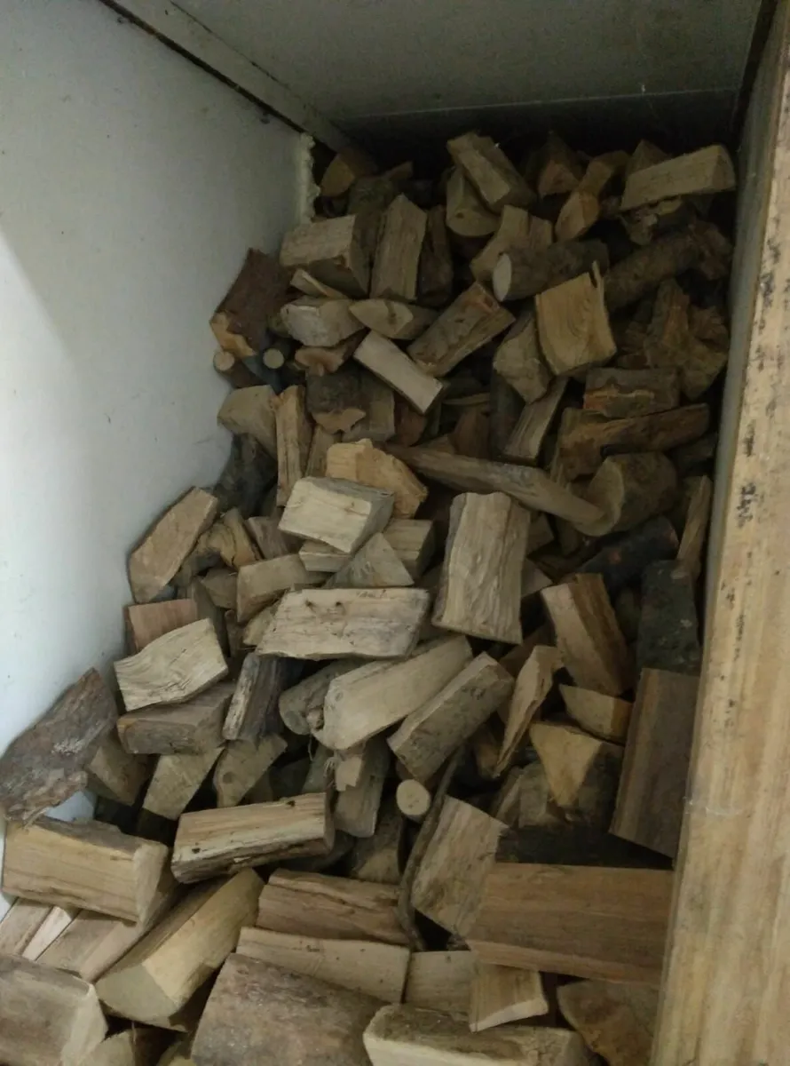 Well-Seasoned Ash Firewood – 7 Cubic Metres - Image 1
