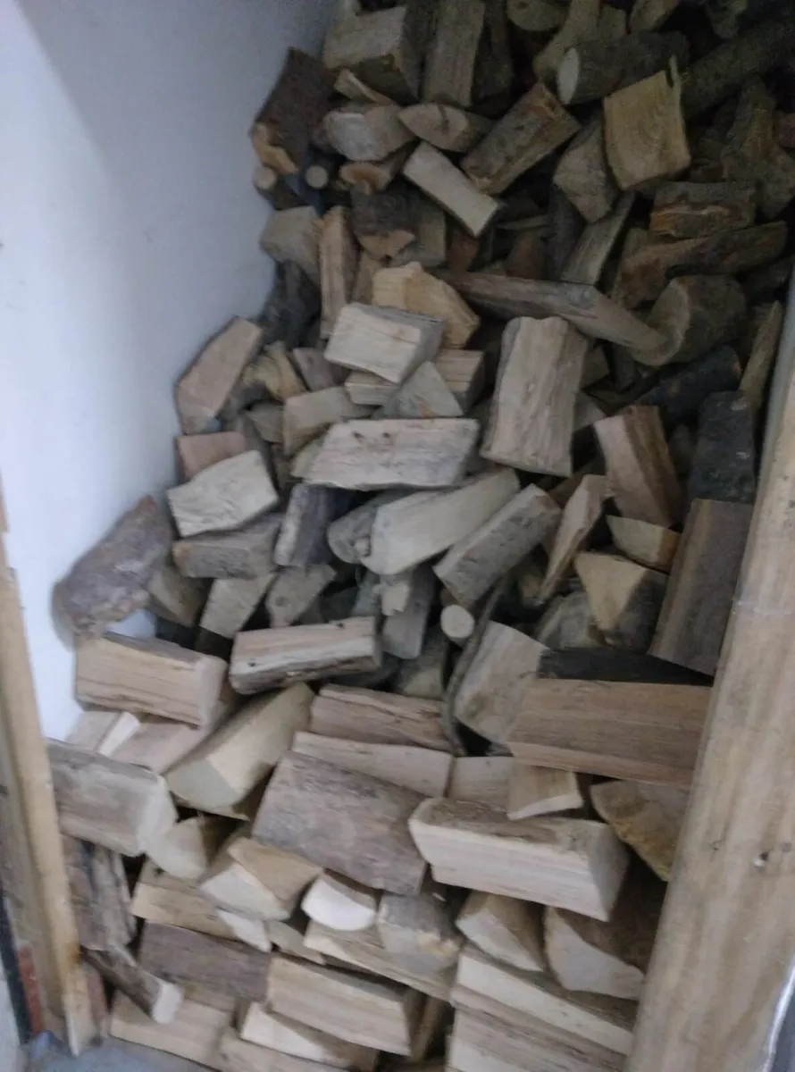 Well-Seasoned Ash Firewood – 7 Cubic Metres - Image 3