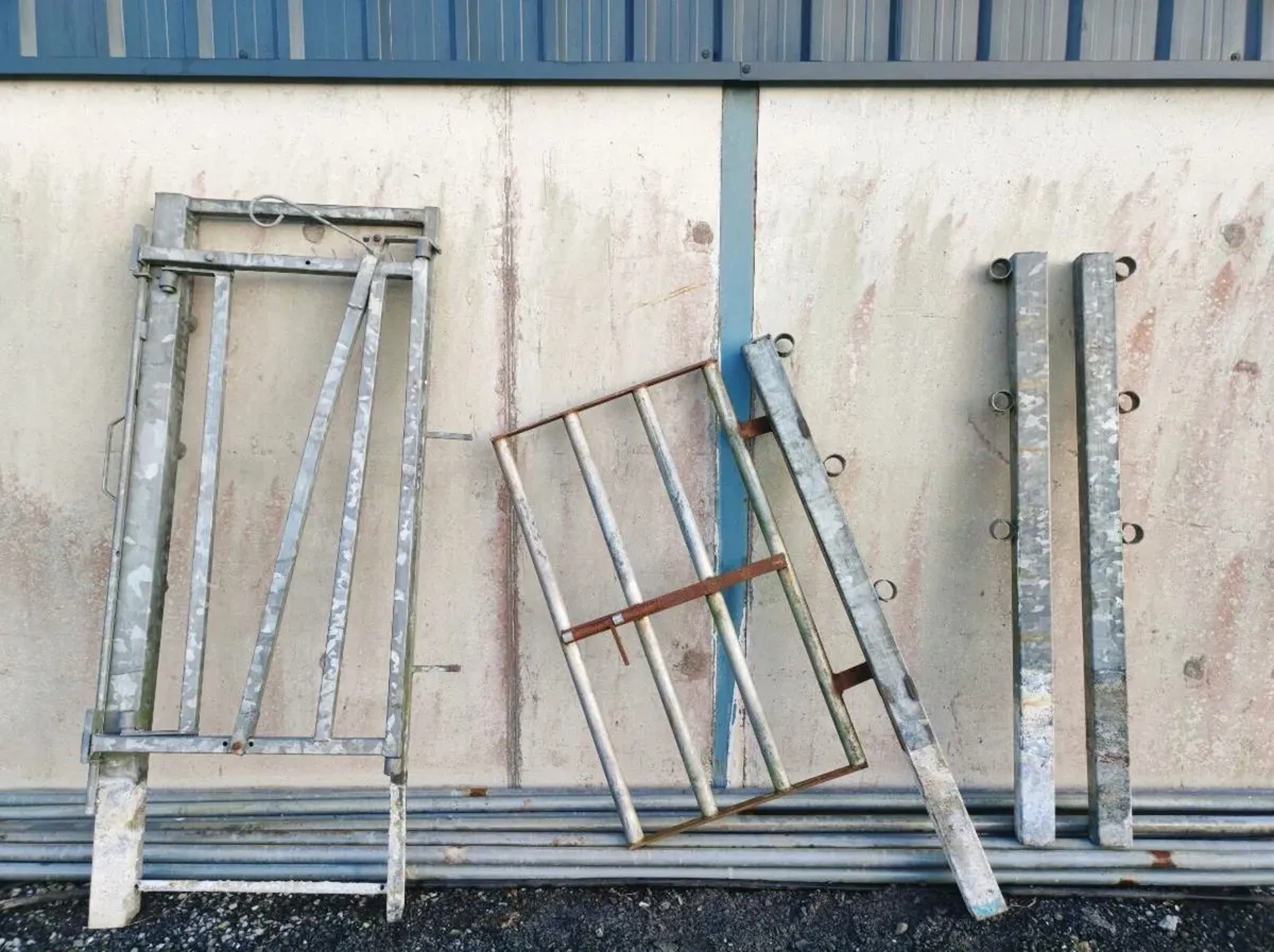 Cattle crush 20ft - Image 1