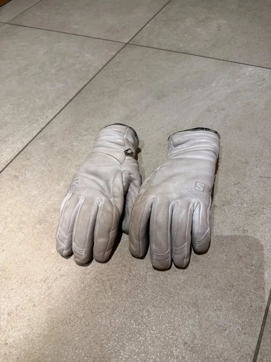 Ski gloves