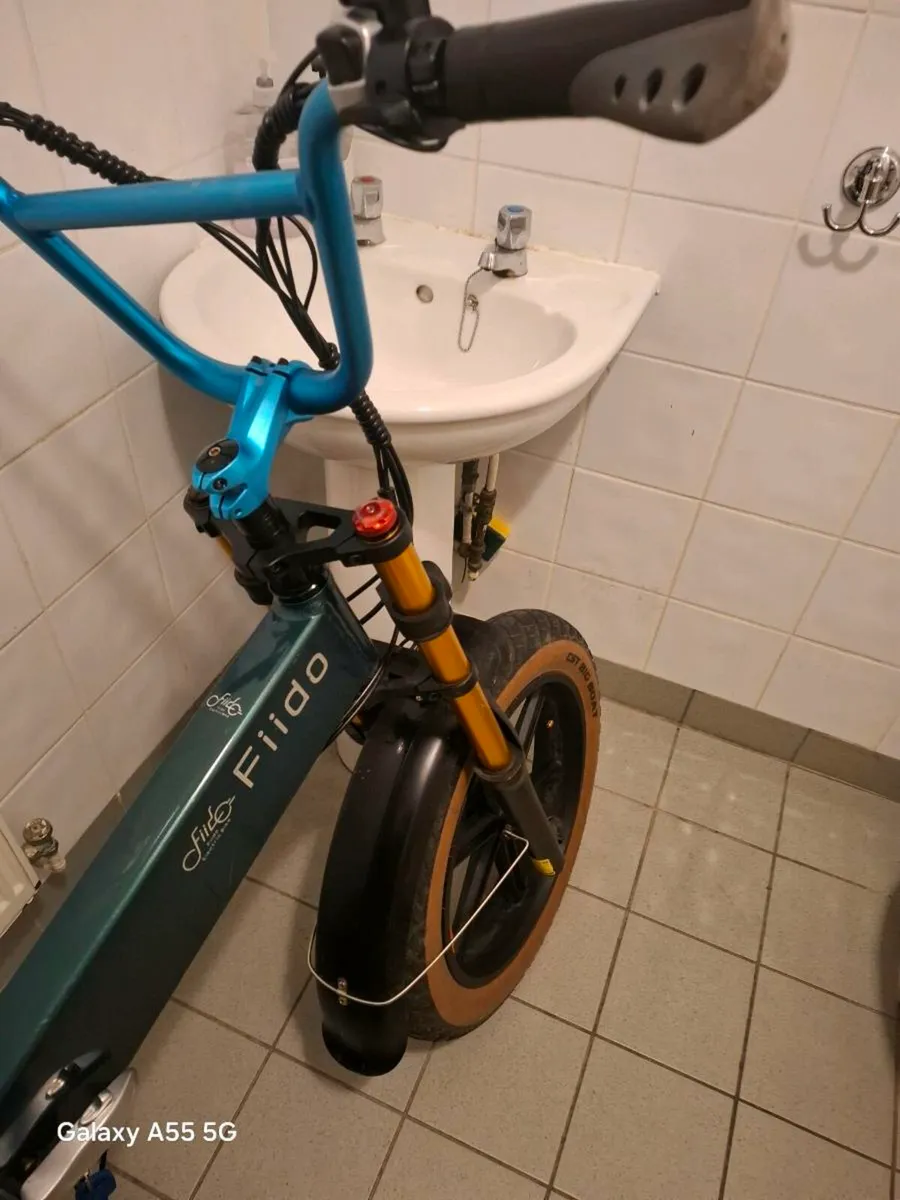 Fiido m1 pro fat tire e bike - Image 2