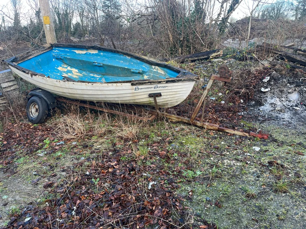 Boat and trailer - Image 1