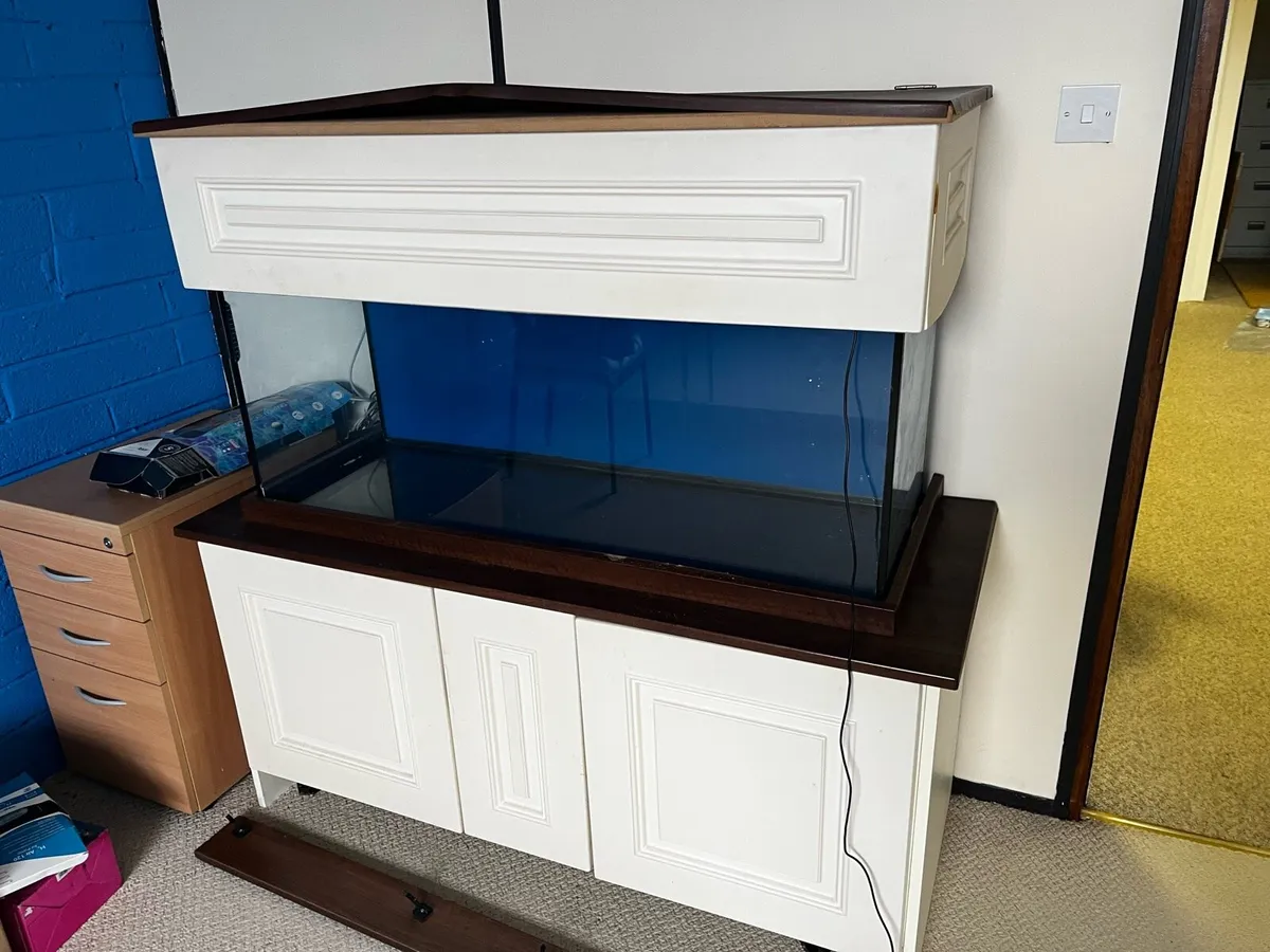 TANK, Stand and accessories - Image 1