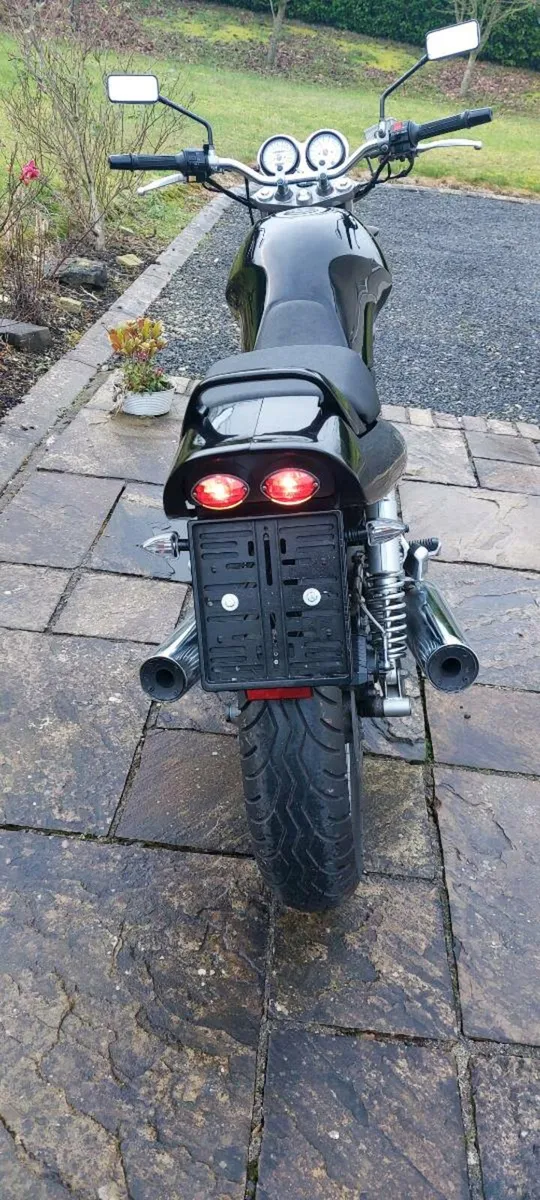 SUZUKI VX 800 - Image 2