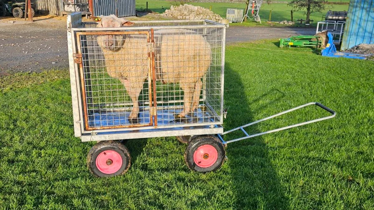 Sheep/Calf Transporter - Image 3