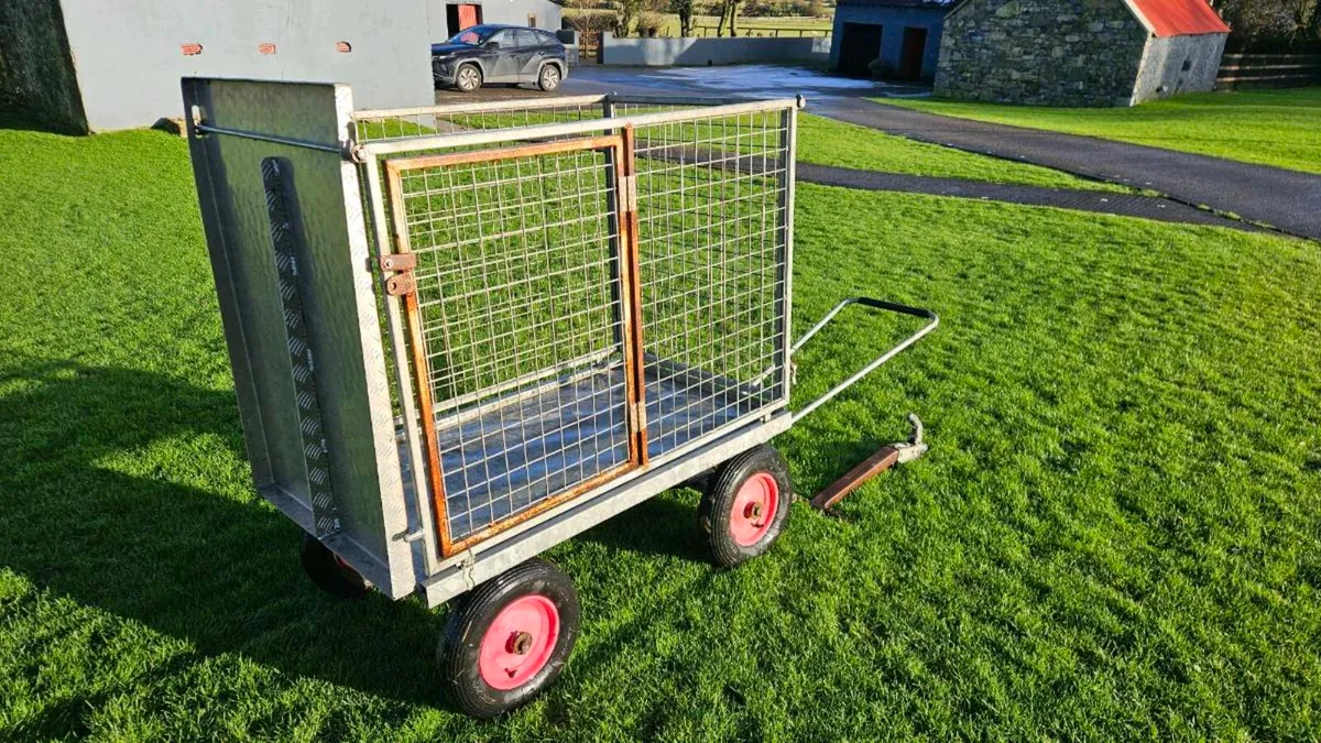 Sheep/Calf Transporter - Image 4