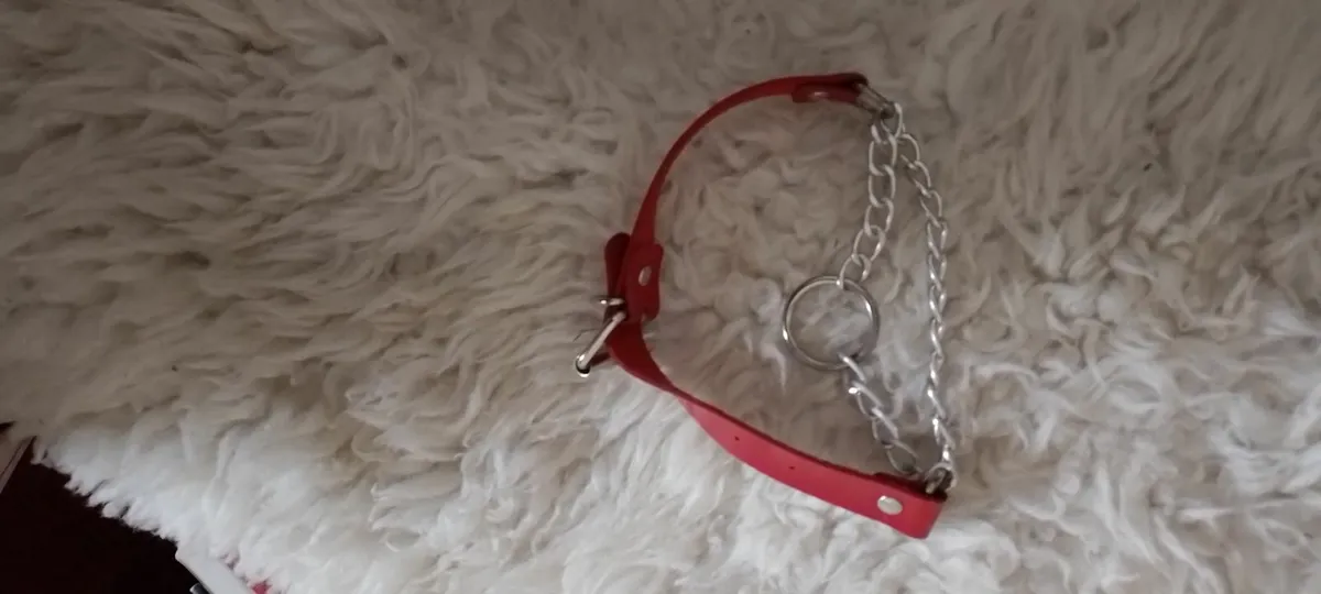 Crossdresser? Lingerie - Image 2