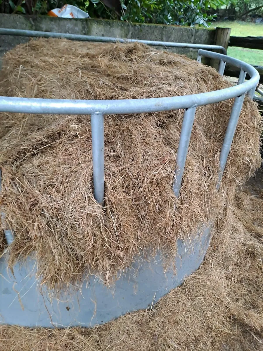 Top Quality Silage For Sale - Image 4