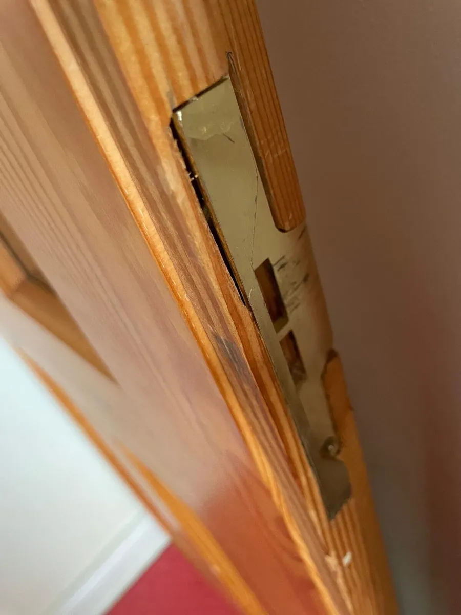 Internal Double Doors - Image 4